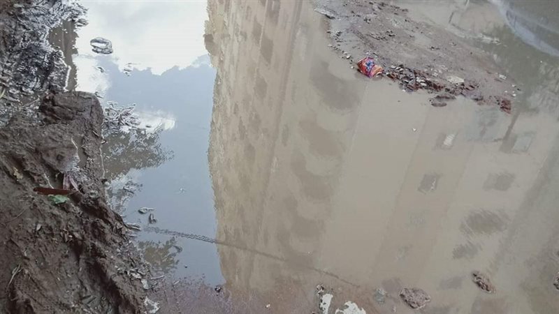 الاسكندريه