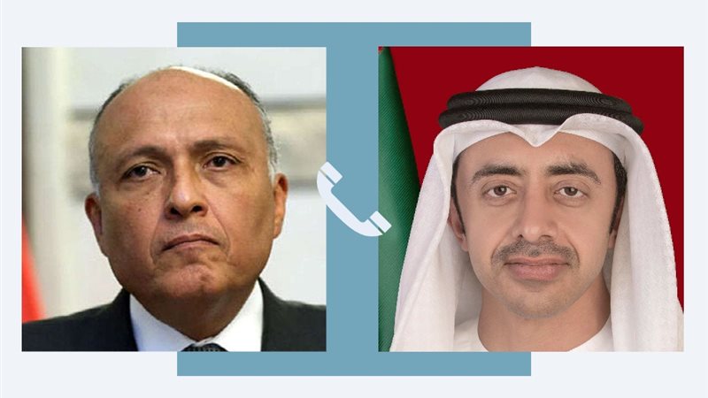 وزير الخارجية ونظيره