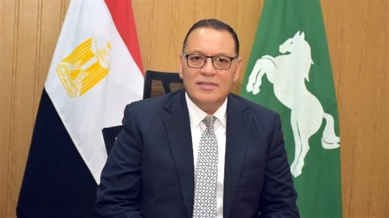 محافظ الشرقية