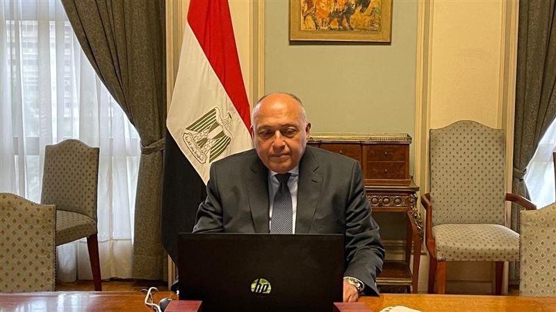 سامح شكري وزير الخارجية
