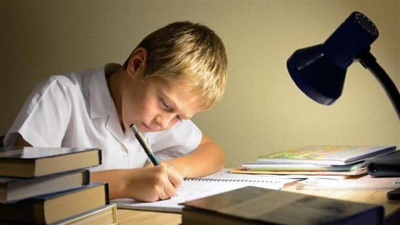 أطعمة تزيد التركيز