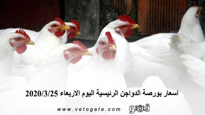 فيتو