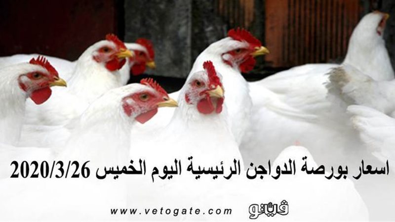 فيتو