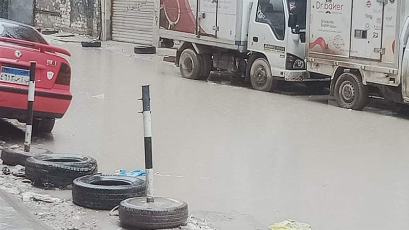 شوارع الإسكندرية