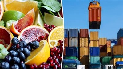 الوزراء: 20.3 مليار دولار إجمالي صادرات الصناعات الغذائية المصرية خلال أربع سنوات 