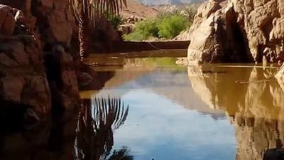 الري: تنفيذ 1054 منشأ للحماية من السيول بعد عام 2016
