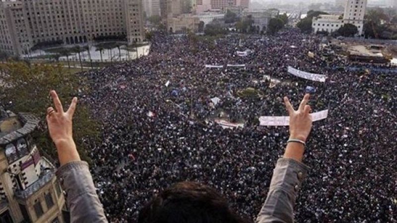 ثورة 25 يناير، فيتو