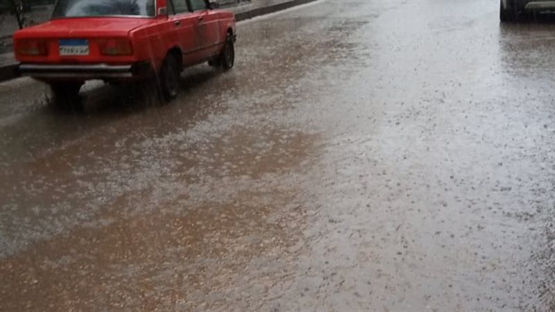 الاسكندريه