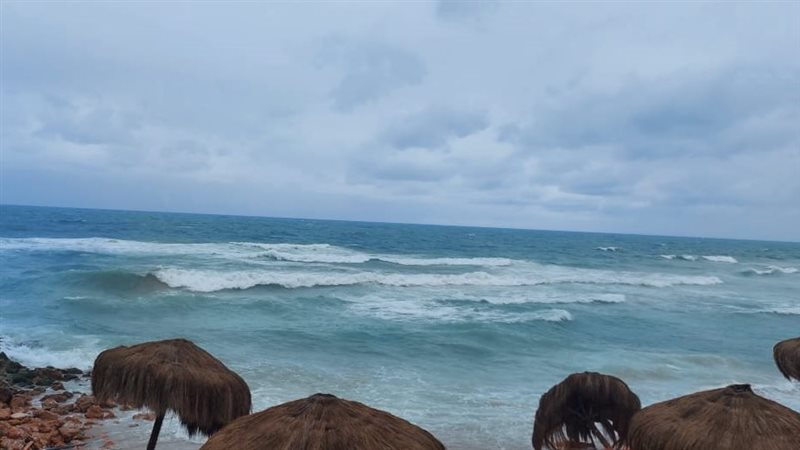 الاسكندريه