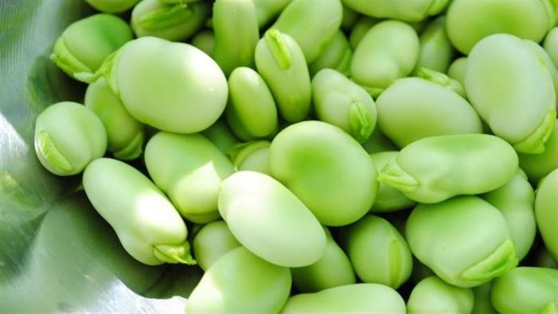 تفسير رؤية الفول
