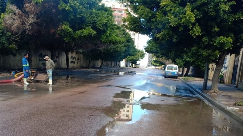 الاسكندريه