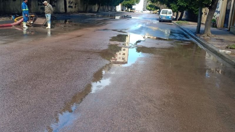 الاسكندريه