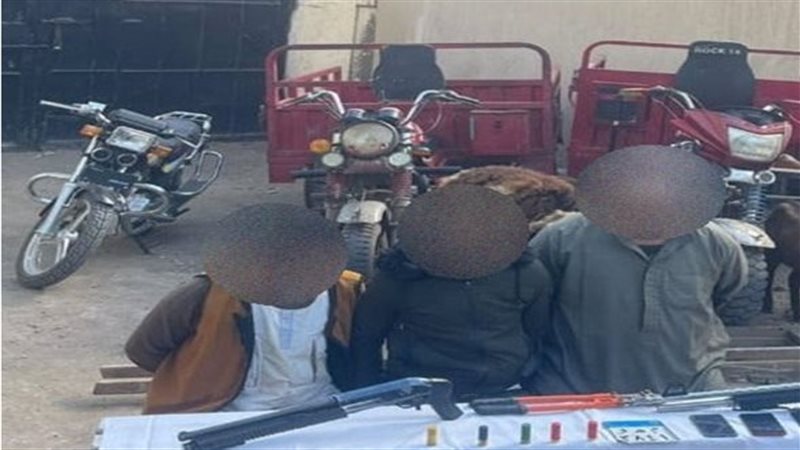 عصابة المنوفية