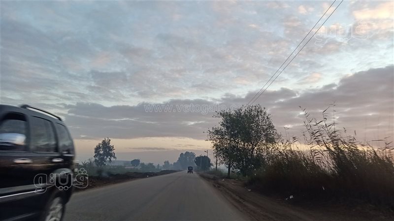 حالة الطقس بالقليوبية