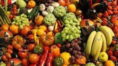 هل تنجح خطة دعم القطاع الزراعي وتوطين إنتاج التقاوي في زيادة صادرات مصر الزراعية؟