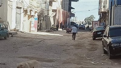 سطوع أشعة الشمس واستقرار للأحوال الجوية في الإسكندرية |صور 