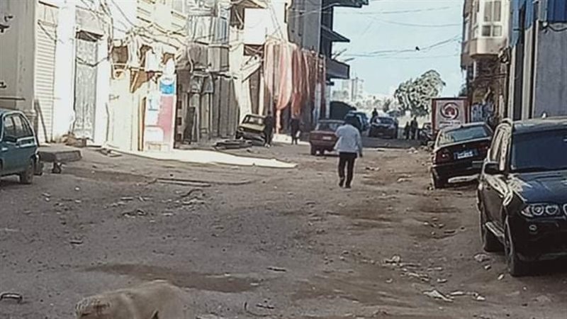 الاسكندريه