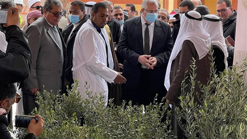 فيتو