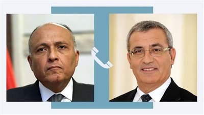 وزير الخارجية يبحث تعزيز العلاقات الثنائية مع نظيره في مالطا