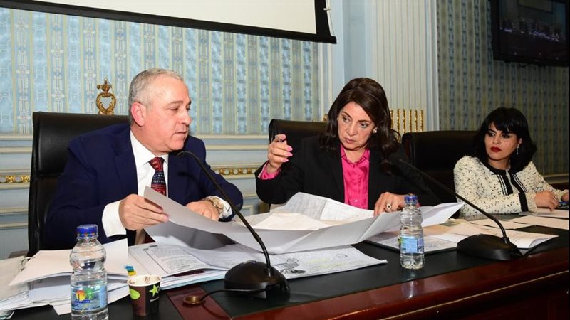 المهندس عبد الصادق