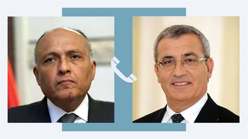 وزير الخارجية ونظيره