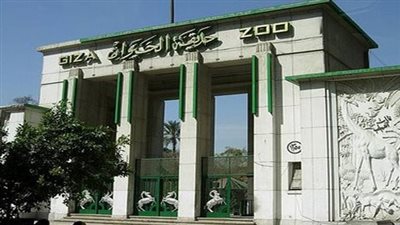 بعد التطوير.. حديقة الحيوان تشهد إقبالا كبيرا يتجاوز 70 ألف زائر يوميا 