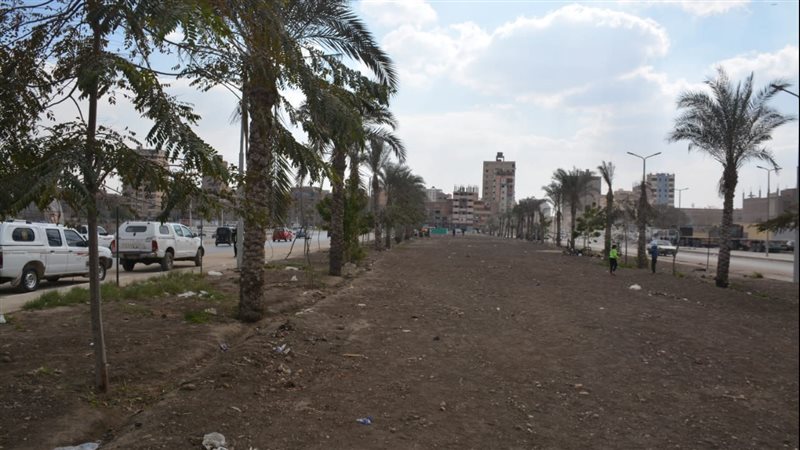 القليوبية 