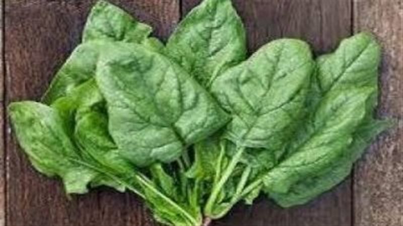 تفسير رؤية السبانخ
