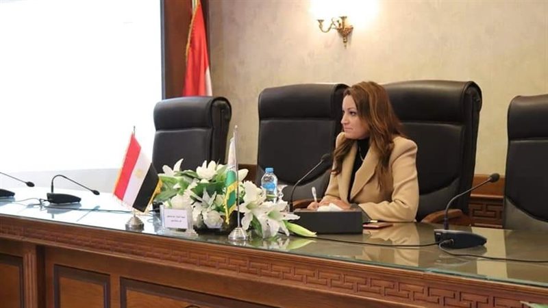 نائب محافظ الجيزة