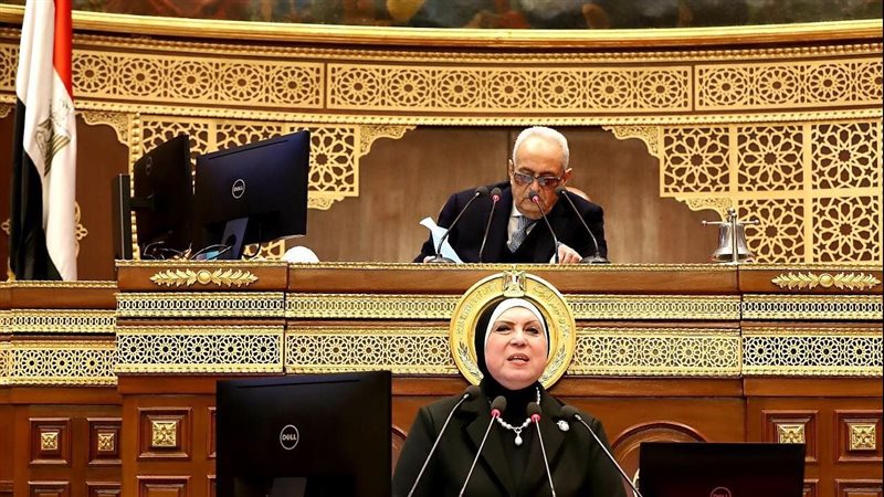 وزيرة الصناعة أمام