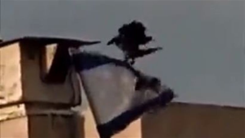 غربان تنهش علم إسرائيل