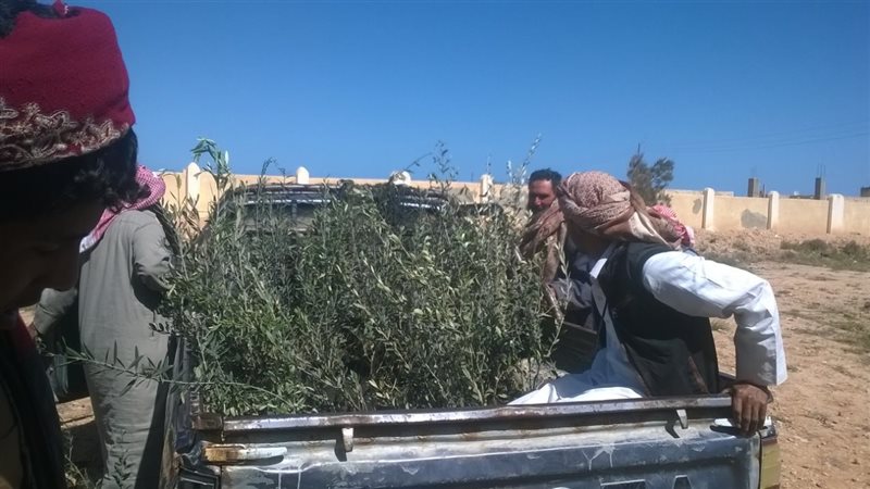 فيتو