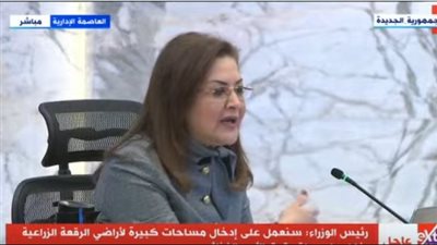 وزيرة التخطيط: كافة قطاعات الدولة حققت معدلات نمو موجبة 