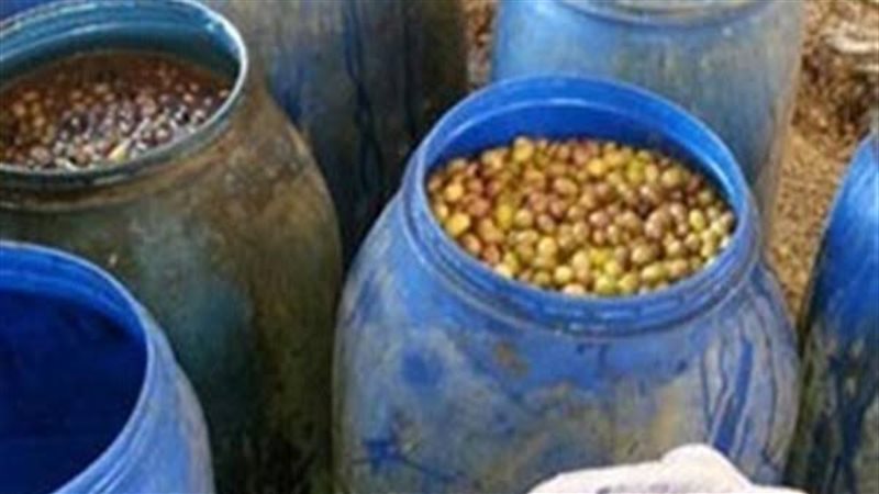الإسكندرية