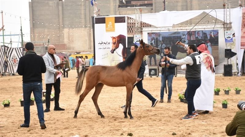  مهرجان البحيرة الدولي