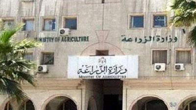 حيثيات براءة مدير عام القضايا بصندوق الأراضي الزراعية