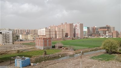 سطوع الشمس في الفيوم بعد هطول أمطار كثيفة | صور 