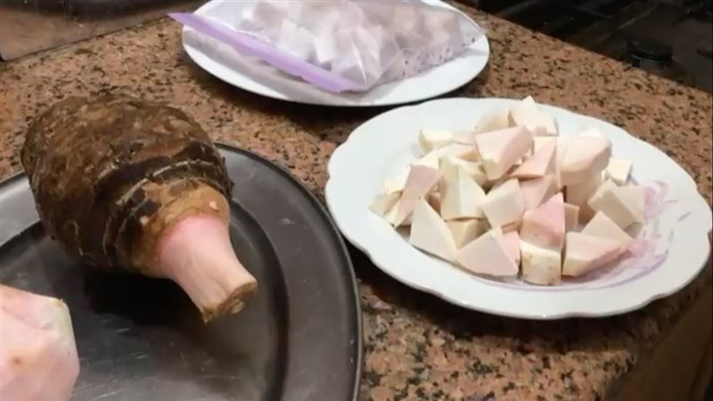 تخزين القلقاس