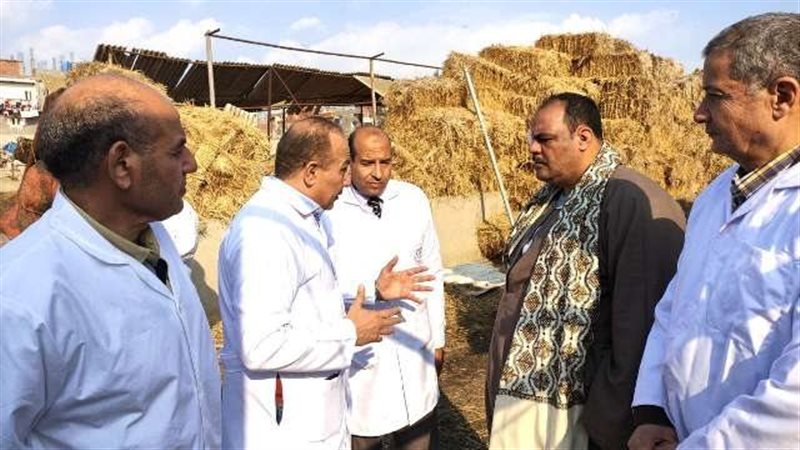 جانب من الحملة البيطرية