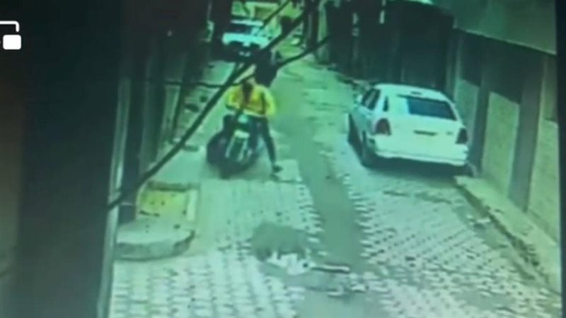 سحل فتاة المعصرة