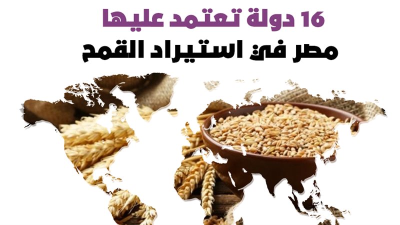 دول تعتمد عليها مصر