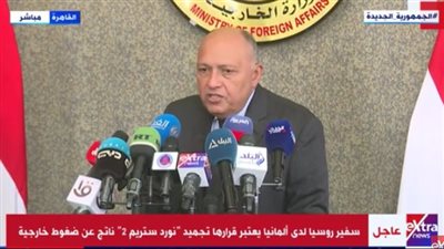وزير الخارجية: مصر والمجر تربطهما علاقة صداقة قوية ومصالح مشتركة | فيديو 