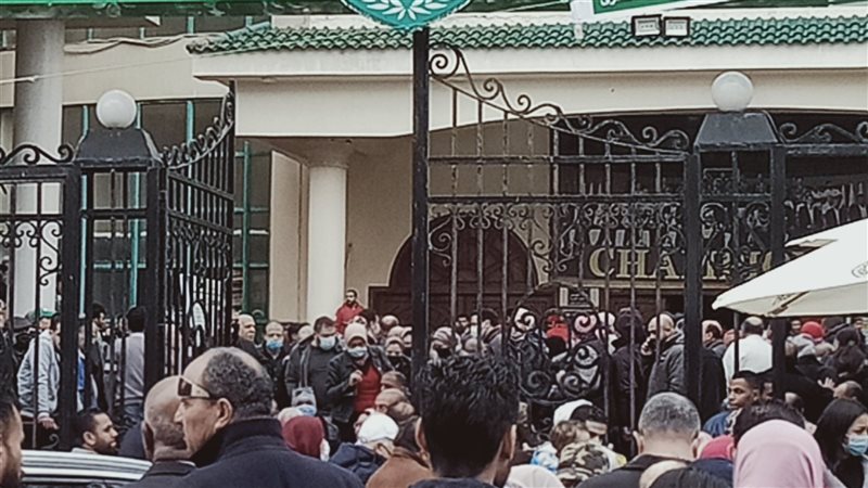 الإسكندرية