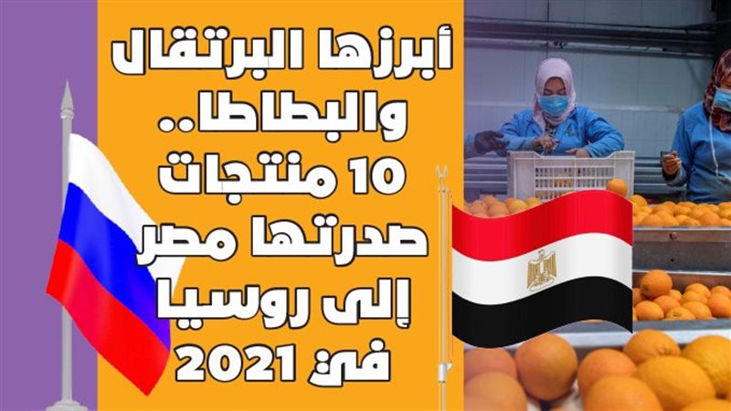 الصادرات المصرية