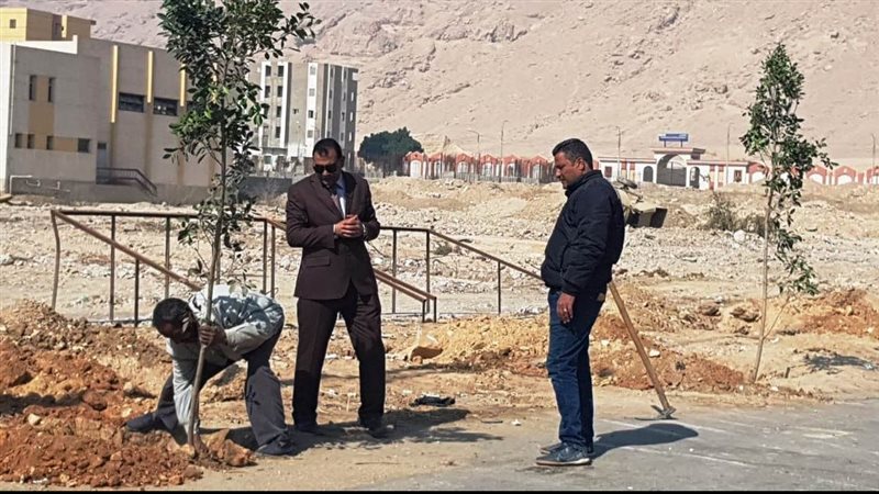 جانب من زراعات الاشجار