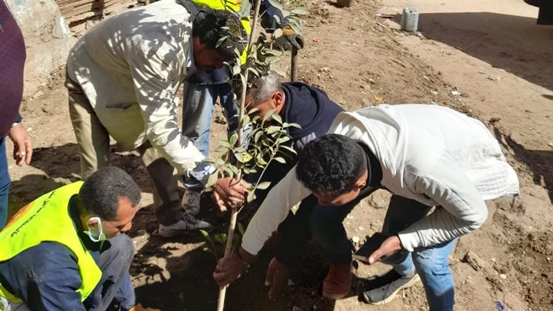 حملة تشجير 