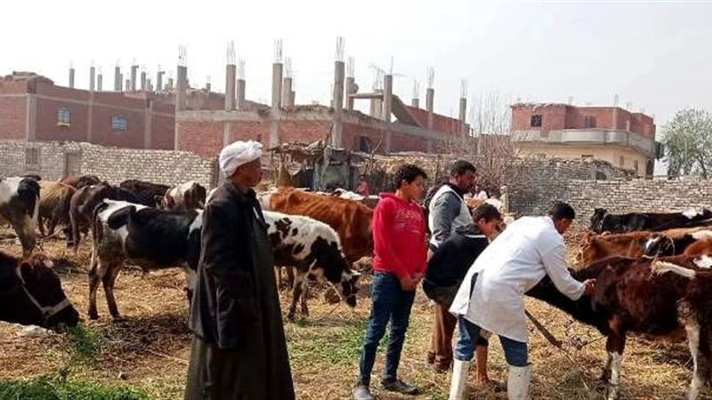 جانب من التطعيمات