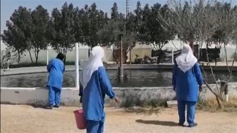 مزرعة سمكية