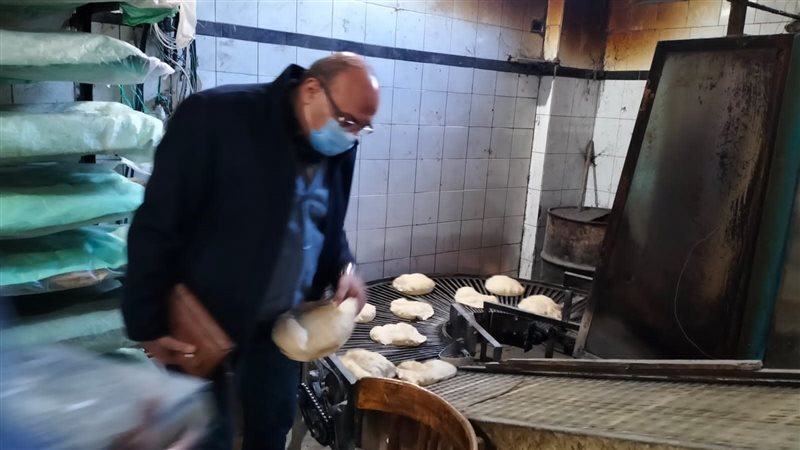 تموين الإسكندرية