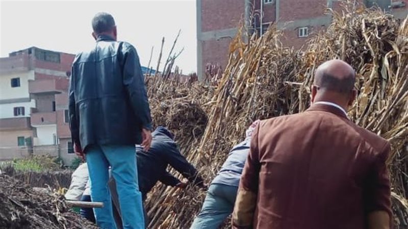 تحرير 813 محضر تبوير